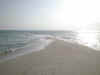 05020261.jpg (23244 byte)