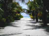 05030291.jpg (28121 byte)