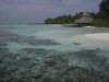 Le foto e il racconto del viaggio alle isole Maldive Club Rannalhi atollo di Male sud Marzo 2003 di Emanuela