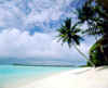 sunbeachwb.jpg (21382 byte)