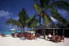 suncoffeeshopbeach.jpg (20954 byte)