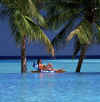 sunpoolgirl.jpg (34851 byte)