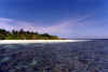 A32F4.jpg (41373 byte)