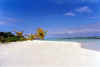 A7112.jpg (28871 byte)