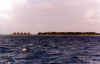 Zupe6035.jpg (34016 byte)