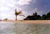 Zupe7046.jpg (34720 byte)