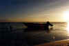 upe1206L.jpg (25705 byte)