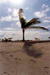 upe2004L.jpg (31290 byte)