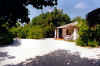 upe42C1L.jpg (54634 byte)