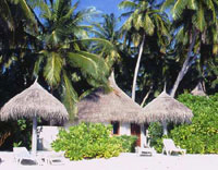 Maldive Vilu Reef resort isola di meedhufushi atollo di nilandhoo sud