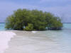 isole maldive foto photo informazioni consigli utili alimatha resort isola di alimatha atollo di felidhoo by Ambro&Giuse&Teo maggio 2005