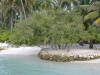 isole maldive foto photo informazioni consigli utili alimatha resort isola di alimatha atollo di felidhoo by Ambro&Giuse&Teo maggio 2005