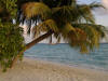 isole maldive foto photo informazioni consigli utili alimatha resort isola di alimatha atollo di felidhoo by Ambro&Giuse&Teo maggio 2005