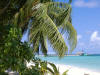 isole maldive foto photo informazioni consigli utili alimatha resort isola di alimatha atollo di felidhoo by Ambro&Giuse&Teo maggio 2005