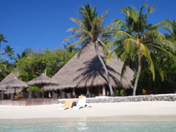 isole maldive fotografie video informazioni notizie e consigli utili alimatha resort isola di alimatha atollo di felidhoo novembre 2008 by Paolo e Simona  (utente forum maldive Yoda)