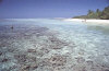 Le foto, il racconto e i consigli utili del viaggio ad asdu island resort resort isola di asdhoo atollo di mal nord nel marzo 2006 by Elena&Gianni