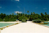 Isole Maldive Asdu Sun island resort isola di Asdhoo atollo di male nord