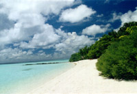 Isole Maldive Asdu Sun island resort isola di Asdhoo atollo di male nord
