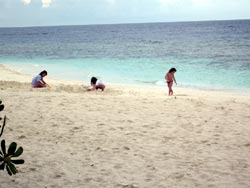 isole maldive fotografie informazioni consigli utili bathala resort isola di bathalaa atollo di ari nord by Claudia&Dario di www.tuttomaldive.it gruppo novembre 2006