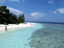 isole maldive fotografie video informazioni consigli utili bathala resort isola di bathalaa atollo di ari nord by Claudia&Dario di www.tuttomaldive.it gruppo novembre dicembre 2006