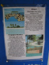 isole maldive fotografie parti comuni informazioni consigli utili bathala resort isola di bathalaa atollo di ari nord by Claudia&Dario di www.tuttomaldive.it gruppo novembre dicembre 2006