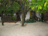 isole maldive fotografie parti comuni informazioni consigli utili bathala resort isola di bathalaa atollo di ari nord by Claudia&Dario di www.tuttomaldive.it gruppo novembre dicembre 2006