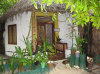 isole maldive fotografie parti comuni informazioni consigli utili bathala resort isola di bathalaa atollo di ari nord by Claudia&Dario di www.tuttomaldive.it gruppo novembre dicembre 2006
