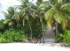 isole maldive fotografie spiaggia sud-ovest informazioni consigli utili bathala resort isola di bathalaa atollo di ari nord by Claudia&Dario di www.tuttomaldive.it gruppo novembre 2006