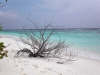 isole maldive foto informazioni consigli utili isole maldive coco palm resor isola di dhunikolhu atollo di baa by Claudia&Massimo dicembre 2004