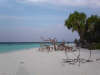 isole maldive foto informazioni consigli utili isole maldive coco palm resor isola di dhunikolhu atollo di baa by Claudia&Massimo dicembre 2004