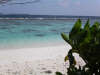 isole maldive foto informazioni consigli utili isole maldive coco palm resor isola di dhunikolhu atollo di baa by Claudia&Massimo dicembre 2004