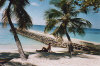 Le foto, il racconto e i consigli utili del viaggio al dhiggiri sea club isola di dhiggiri atollo di felidhoo nel dicembre 2005 by Carmen&Cristian