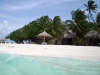 Le foto, il racconto e i consigli utili del viaggio al dhiggiri resort atollo di felidhoo nell'agosto 2004 by Francy&Roby