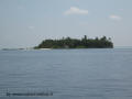 crociera maldive dhoni stella boat isole maldive fotografie video informazioni notizie dhoni stella motoryacht in legno di costruzione maldiviana crociera alle maldive nel marzo 2009 by Claudia e Dario di TuttoMaldive.it