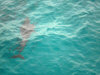 maldive fotografie informazioni consigli utili isole maldive dhonveli resort isola di kanu huraa atollo di male nord luglio 2006 by Riccardo, Mina e Bea