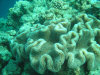maldive fotografie informazioni consigli utili isole maldive dhonveli resort isola di kanu huraa atollo di male nord luglio 2006 by Riccardo, Mina e Bea