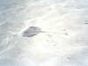 foto photo informazioni consigli utili isole maldive eriyadu island resort isola di eriyadhoo atollo di male nord marzo 2004 by Roby&Andrea