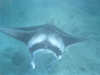 foto photo informazioni consigli utili isole maldive eriyadu island resort isola di eriyadhoo atollo di male nord marzo 2004 by Roby&Andrea