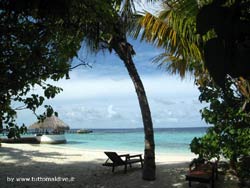 fotografie video informazioni notizie e consigli utili isole maldive eriyadu island resort isola di eriyadhoo atollo di male nord by Claudia&Dario di www.tuttomaldive.it gruppo luglio 2008