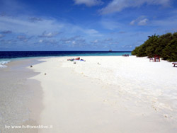 fotografie video informazioni notizie e consigli utili isole maldive eriyadu island resort isola di eriyadhoo atollo di male nord by Claudia&Dario di www.tuttomaldive.it gruppo luglio 2008
