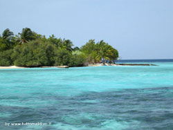 fotografie video informazioni notizie e consigli utili isole maldive eriyadu island resort isola di eriyadhoo atollo di male nord by Claudia&Dario di www.tuttomaldive.it gruppo luglio 2008