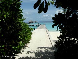 fotografie video informazioni notizie e consigli utili isole maldive eriyadu island resort isola di eriyadhoo atollo di male nord by Claudia&Dario di www.tuttomaldive.it gruppo luglio 2008