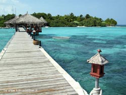 fotografie video informazioni notizie e consigli utili isole maldive eriyadu island resort isola di eriyadhoo atollo di male nord by Claudia&Dario di www.tuttomaldive.it gruppo luglio 2008