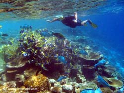 fotografie video informazioni notizie e consigli utili isole maldive eriyadu island resort isola di eriyadhoo atollo di male nord by Claudia&Dario di www.tuttomaldive.it gruppo luglio 2008