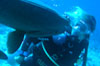 sezione subacquea immersioni e snorkelling alle isole maldive : informazioni, consigli dell'esperto sub Enzo Spina, racconti e foto di immersioni e snorkelling