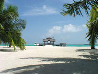 isole maldive kandooma island resort isola di kandoomafushi atollo di male sud
