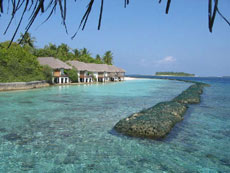 isole maldive foto photo informazioni consigli utili maldive kuda rah resort isola di kudarah atollo di ari sud by Debora e Enrico nel marzo 2006