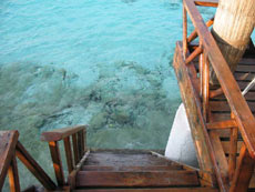 isole maldive foto photo informazioni consigli utili maldive kuda rah resort isola di kudarah atollo di ari sud by Debora e Enrico nel marzo 2006