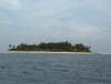 isole maldive fotografie informazioni notizie isole maldive kuramathi village resort isola di kuramathi atollo di rasdhoo e kandholhudhoo atollo di ari nord nel gennaio 2007 by Ylenia e Michele utente forum maldive gattolibero