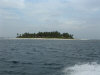 isole maldive fotografie informazioni notizie isole maldive kuramathi village resort isola di kuramathi atollo di rasdhoo e kandholhudhoo atollo di ari nord nel gennaio 2007 by Ylenia e Michele utente forum maldive gattolibero